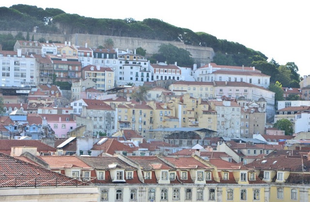 artificial flowers in Lisbon