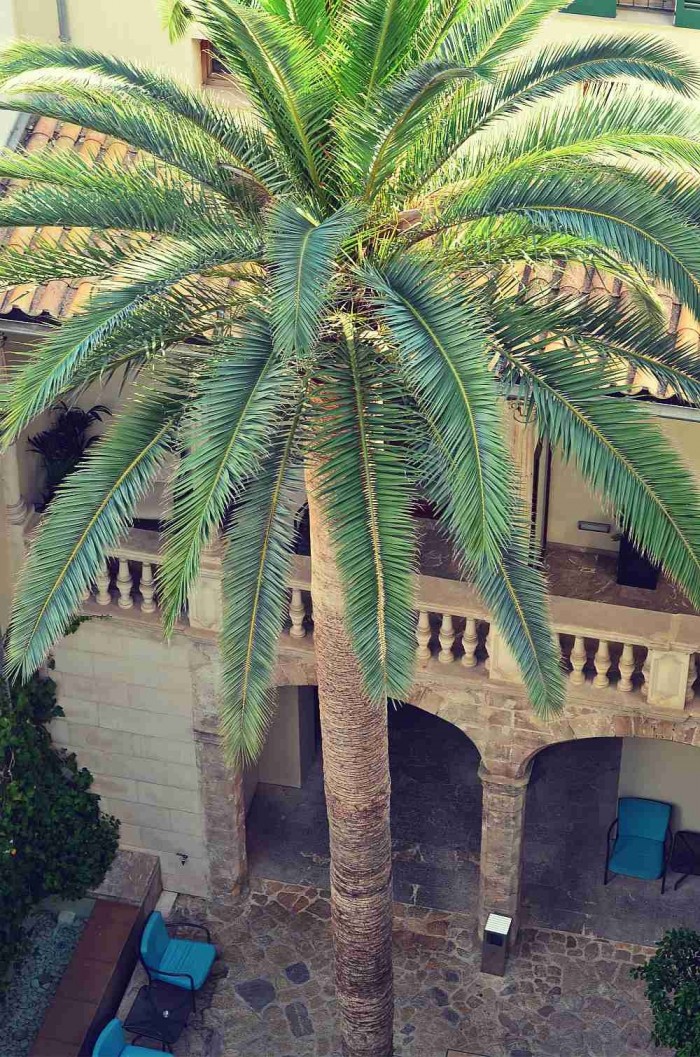 Design Hotel Tres Palma