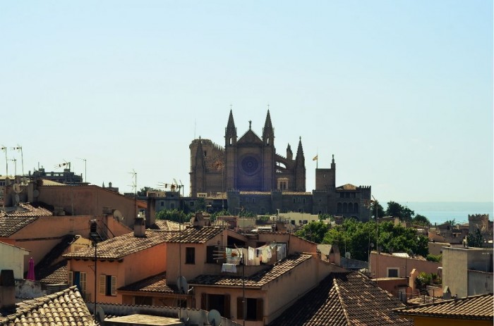 Palma impressions