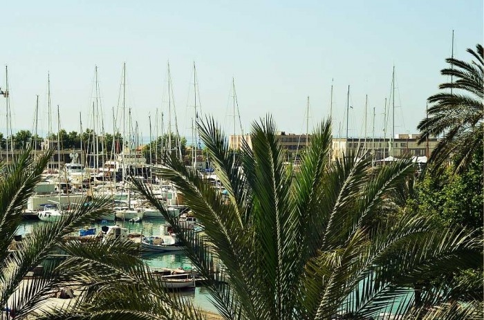 Palma impressions