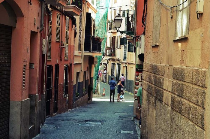 Palma impressions