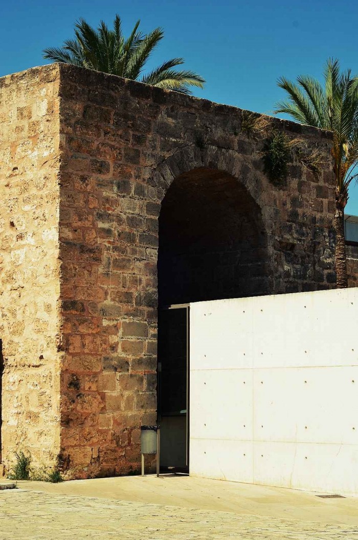 Palma impressions