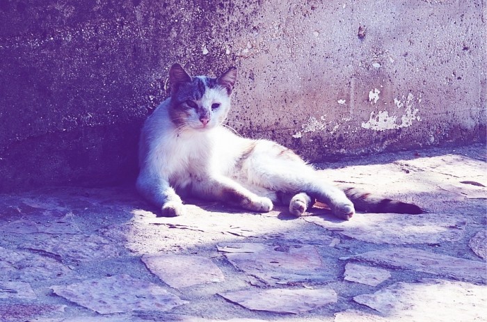 Saranda