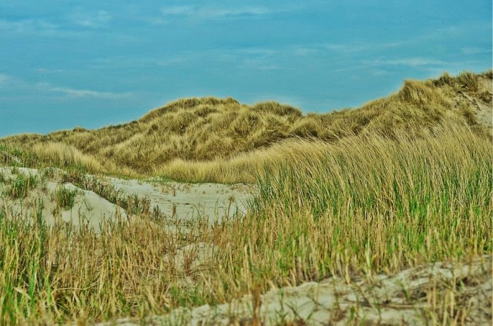 St. Peter-Ording // North Sea nature