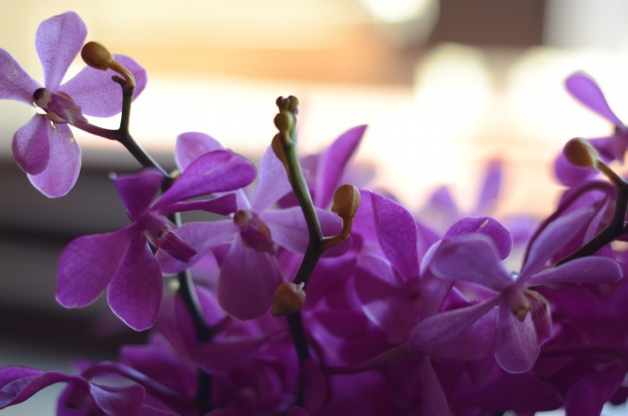 travel: sPA time @Radisson Blu Phuket
