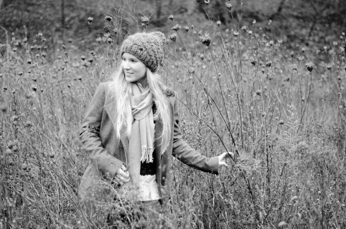 winter flower field